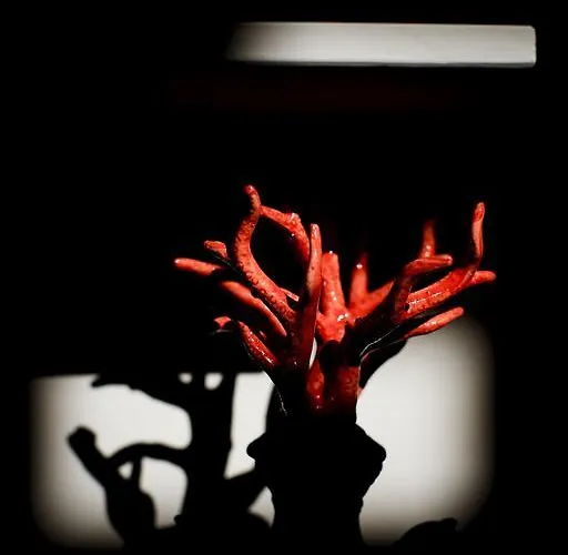 Aparthotel Seven Historical